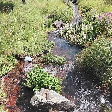 Hochwald Appartement Bad Sachsa Dış mekan fotoğraf