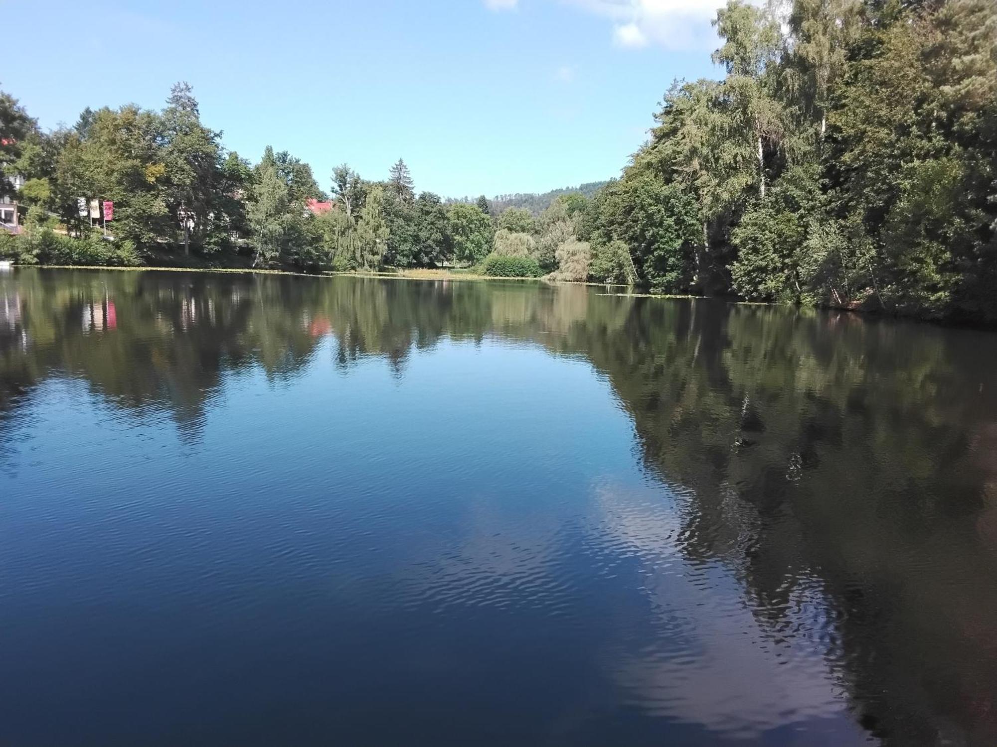 Hochwald Appartement Bad Sachsa Dış mekan fotoğraf