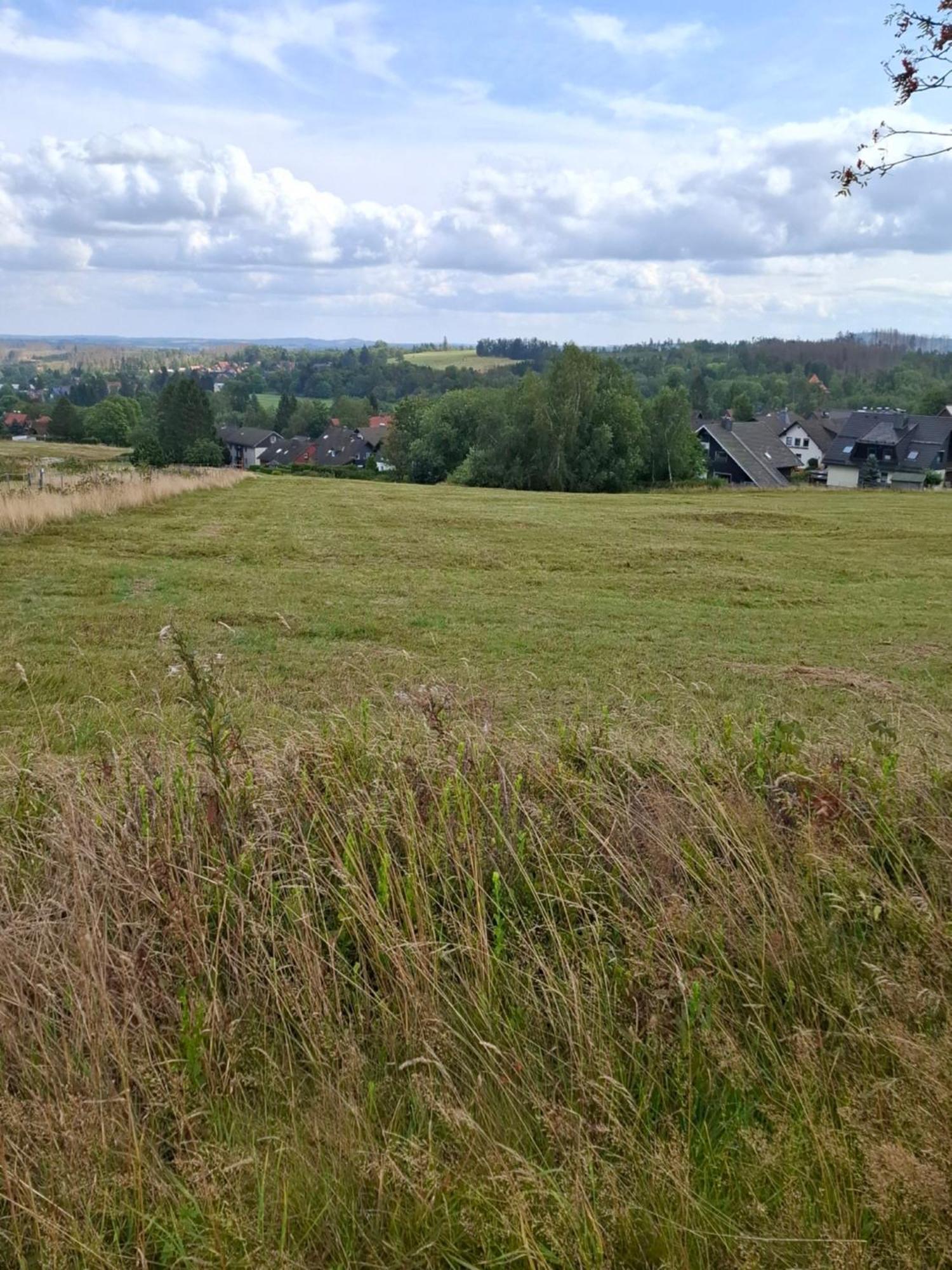 Hochwald Appartement Bad Sachsa Dış mekan fotoğraf