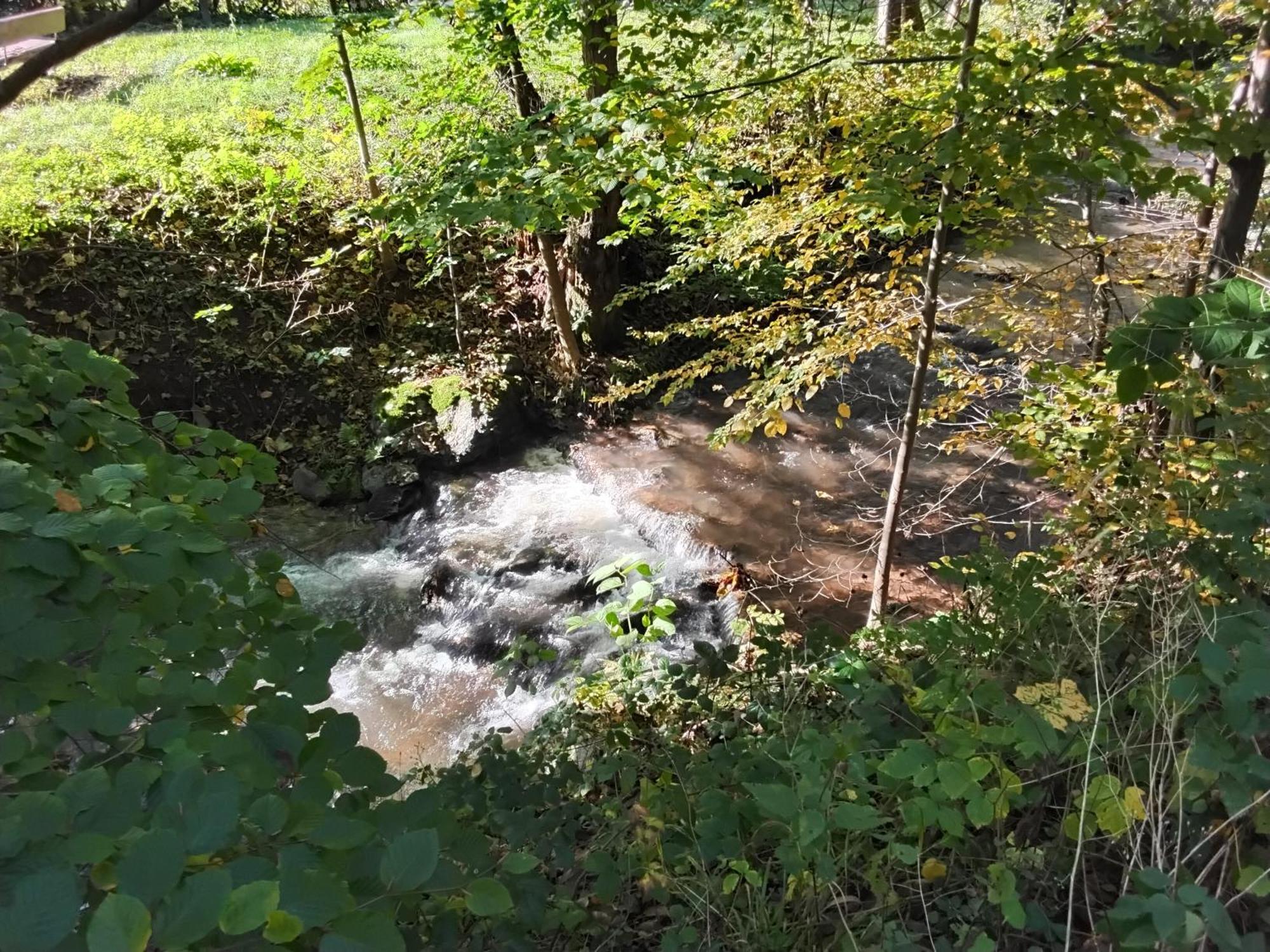 Hochwald Appartement Bad Sachsa Dış mekan fotoğraf